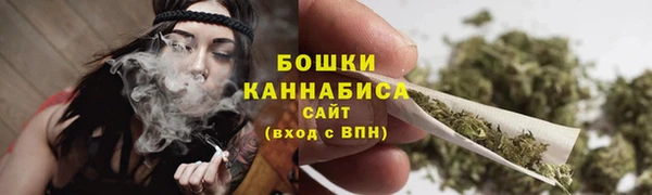 ешки Дмитриев