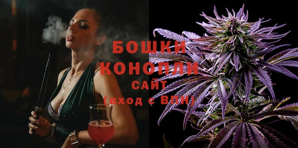 винт Инта
